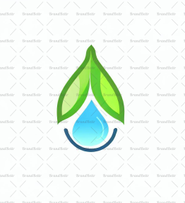 Wassertropfen und Blatt